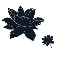 Lotus bloom vector silhouette stock illustration on white background