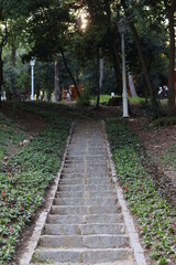 footpath in the park