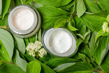 Moisturizing face cream in a glass jar on a background of green leaves. Cosmetics for face and body. Natural cosmetics concept