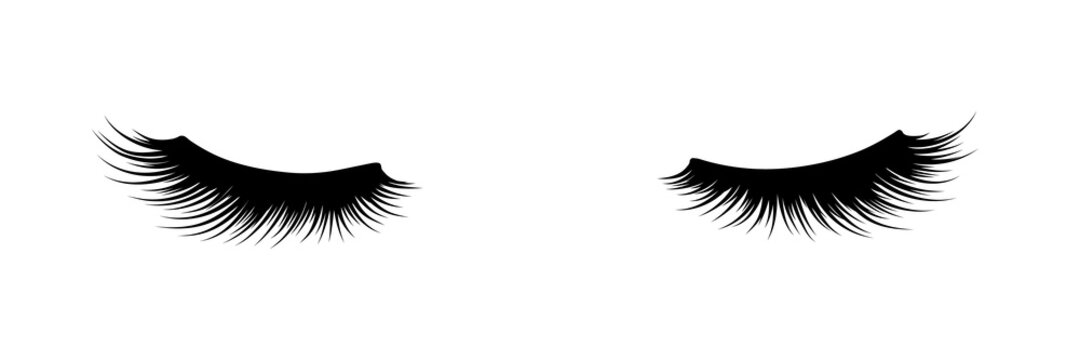 Eyelashes of closed eyes. Fashion illustration. False lashes. Black and white hand-drawn image. Vector EPS 10.