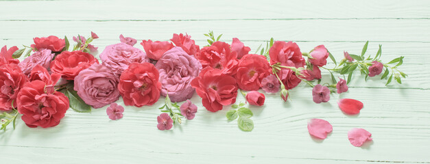 pink and red roses on green wooden background