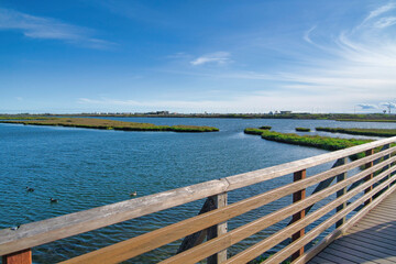Bolsa Chica Ecological Reserve wetlands viewed from wood bridge on a sunny day