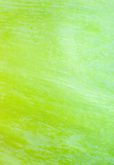 Green leaf close up. Fresh leaves texture background. Natural eco wallpaper. Vegetarian food. Vegetable and vitamins products. Macro photo.