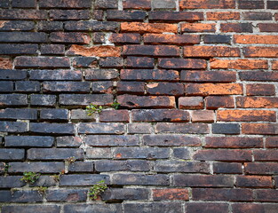 vieux mur