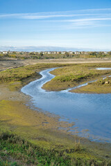 Fototapeta na wymiar Bolsa Chica Ecological Reserve with shallow water and grassy land landscape