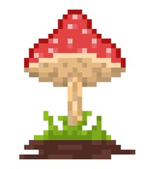 Mushroom pixel art icon illustration concept