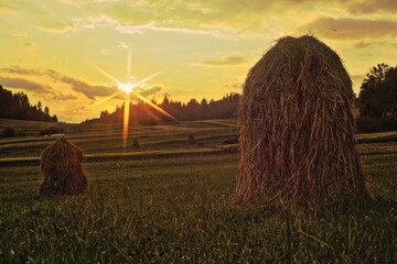Hay sheaves with sun