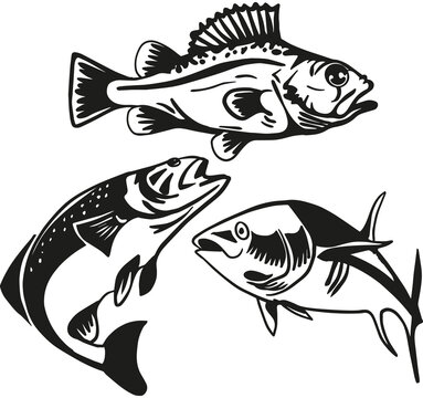 recommend clip art: Fish black silhouettes vector icons, fish market and fishing. Pike, perch, river sheatfish and flounder, carp fish. Isolated on white