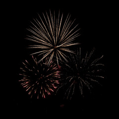 Fireworks against a black background