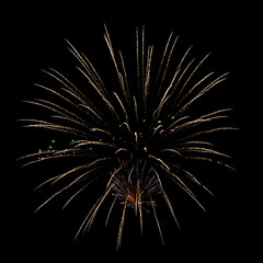 Fireworks against a black background