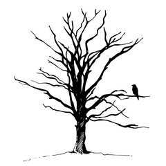 Tree and bird raven silhouette, hand drawn vector illustration