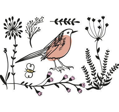Vector color image of a birdand plants, bird icon design. Cute birds and plants cartoon. placard decor. Art print. Folk art bird decoration, retro. Wallpaper.