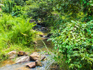 Cachoeira Peri-Peri São Benedito do Sul/PE