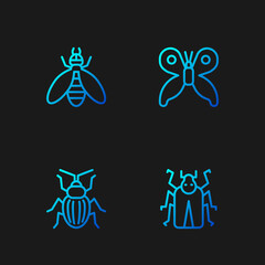 Set line Beetle bug, Chafer beetle, and Butterfly. Gradient color icons. Vector