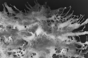 Obraz na płótnie Canvas Black-white color abstract liquid background. Paint Splash, fluid art, scientific wallpaper concept