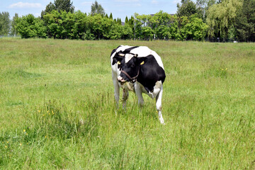 charset Ascii © Klara