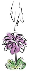 hand with flower