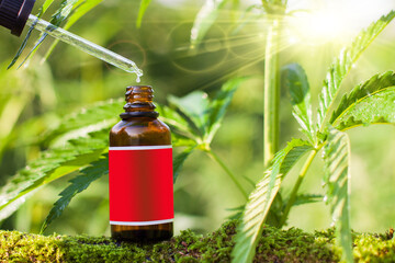 Hemp oil dropper in bottle with cannabis tree background. Empty label - copy space.
