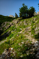Valbona Valley National Park. Albania.

