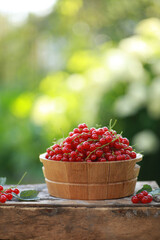 Gardening and agriculture. Ripe red currant in a wooden plate on an old wooden background. Berry harvest. Summer day, sunlight. Background image, copy space