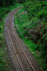 Fototapeta premium railroad tracks in the countryside