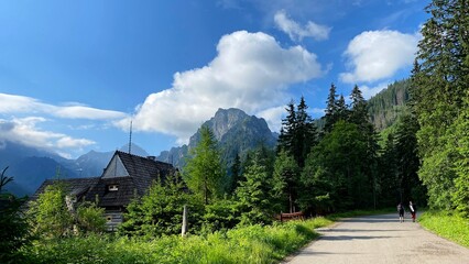 The Polish Tatras, the road to Morskie Oko, the landscape of Polish nature, mountains and trees