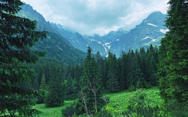 The Polish Tatras, the road to Morskie Oko, the landscape of Polish nature, mountains and trees © Robert