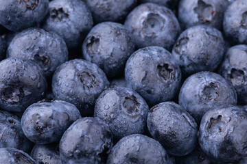 Blueberries closeup with water drops, blueberries background, food background