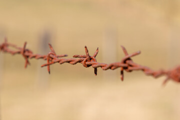 Rusty barbed wire, close up of a single strand on a fence post