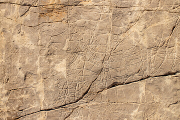 weathering marks on ancient sea rock
