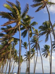 La magia nació en San Andrés © JuanPablo