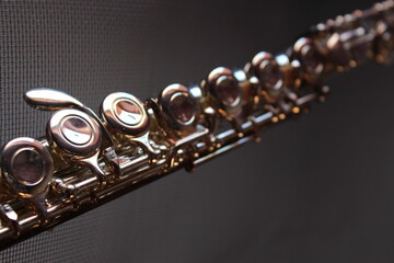 close up of a flute © evmez