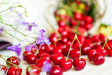 Ripe juicy cherries on a wooden background with flowers and a basket. Rustic style, harvest time. Red berries close-up.
