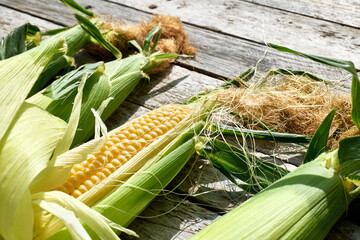 Fresh sweet corn cobs on the wooden table.