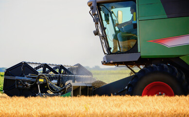 Harvesting campaign. Combine in the wheat field during the harvest. Agricultural concept