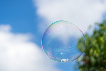 Summer fun: Soap bubble floating in the air.