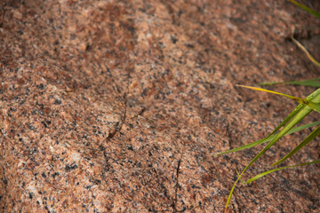texture of old natural stone close up