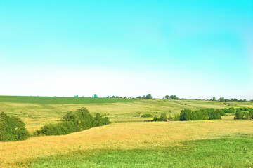 Obraz premium a rustic summer field with a clear blue sky. Horses are visible in the distance