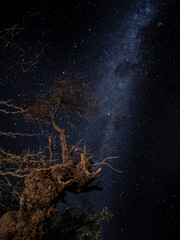 Via Lactea - San Pedro de Atacama