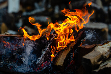 Flames of fire close up. Campfire in nature. A blurred chocks background.