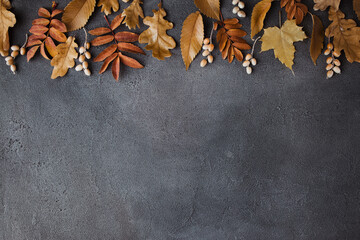 Autumn background with dried fall leaves border