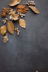 Autumn floral background, fall yellow leaves frame
