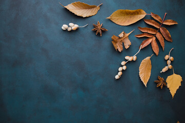 Autumn vibes template made of dried leaves