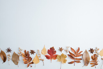 Autumn background, border of dried leaves on white