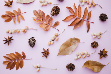 Autumn background, pattern made of dried leaves