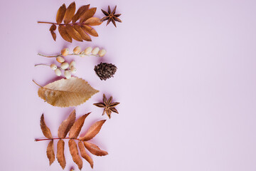 Autumn vibes. Border made of dried leaves on pink