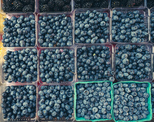 Cartons of fresh blueberries for sale at Farmer's Market.