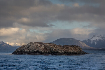 Centered photo of a  little desertic island with sea animals including cormorants, sea wolves and seals and snowed mountains in the background in Ushuaia, Tierra del Fuego, Argentina