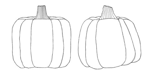 Set of hand drawn black and white linear square pumpkins for decoration design greeting card invitation of seasonal autumn holidays halloween harvest festival Vegetable elements set