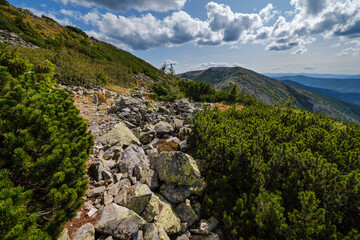 Fototapeta na wymiar Summer Carpathian mountains view. Stony Gorgany massif, Ukraine.